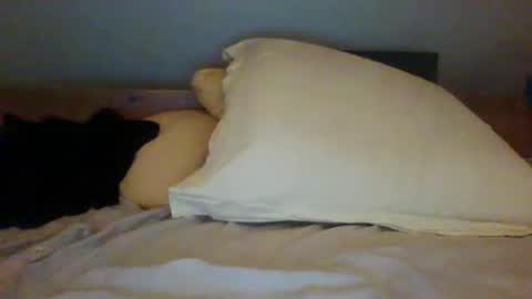 bibipheuck online show from 11.13.25