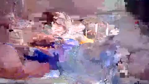 bigbosscol online show from 11.05.25