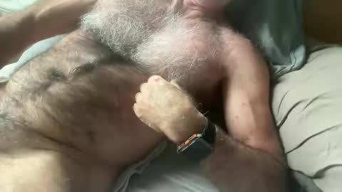 Snapshot of bigbush1 chatting on 01.17.25 big bush online show from 01.17.25