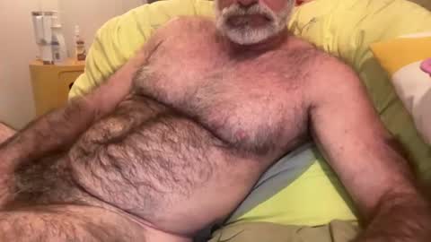 big bush online show from 07.11.26
