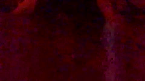 Hunny online show from 02.07.26