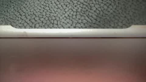 Snapshot of bigcocksuckingslut chatting on 02.02.25 bigcocksuckingslut online show from 02.02.25