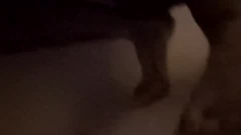 bigd12345678897020 online show from 11.01.25