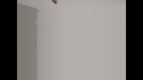 Snapshot of bigd23994 chatting on 03.29.26 bigd23994 online show from 03.29.26