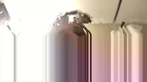 Big Daddy 1988 S online show from 11.03.25