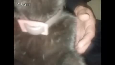 Big online show from 02.22.26