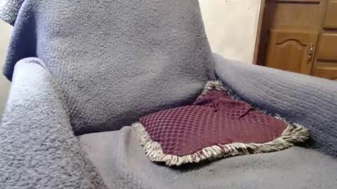 Snapshot of bigdickdaddy567130413 chatting on 12.29.24 bigdickdaddy567130413 online show from 12.29.24