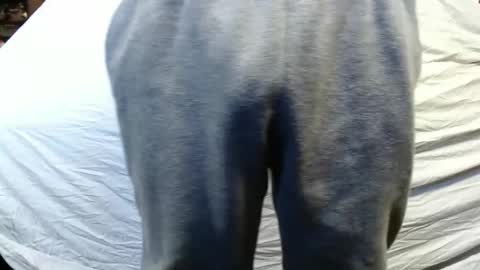 Snapshot of bigdickdaddy567130413 chatting on 01.15.25 bigdickdaddy567130413 online show from 01.15.25