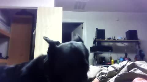 Snapshot of bigdickdaddy7201979564868 chatting on 06.19.26 bigdickdaddy7201979564868 online show from 06.19.26