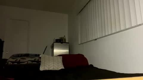 bigdickpapishampoo online show from 12.17.25