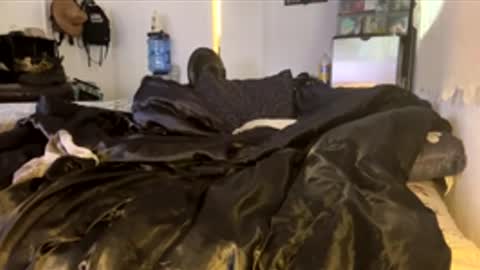 bigdickpapishampoo online show from 02.04.26