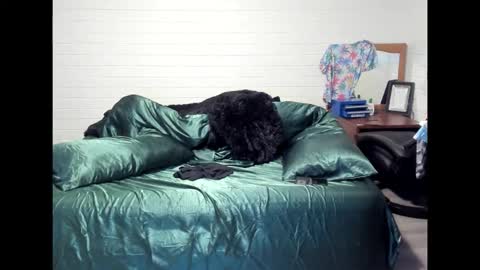 bigdickpiercedtattoos online show from 10.22.25