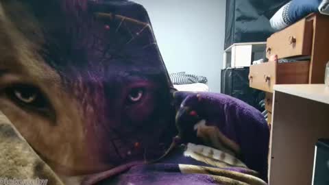 George Forest Dickyduby on all Socials online show from 11.12.25