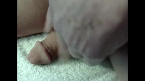 bigdipper58 online show from 02.23.25