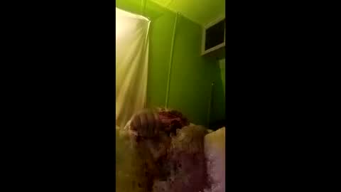 bigdog9thick online show from 04.29.26