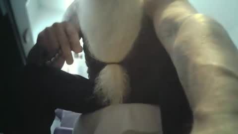 Snapshot of bigjeff01 chatting on 02.11.26 bigjeff01 online show from 02.11.26