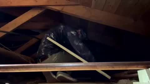 Snapshot of bigjim6646 chatting on 09.21.25 bigjim6646 online show from 09.21.25