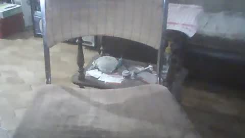 Snapshot of bigpenix chatting on 12.21.24 bigpenix online show from 12.21.24