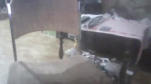 Snapshot of bigpenix chatting on 03.02.25 bigpenix online show from 03.02.25