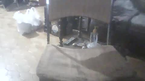 bigpenix online show from 02.07.26