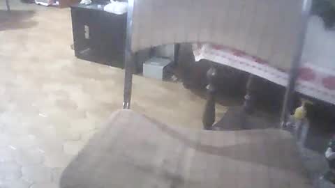 bigpenix online show from 04.01.26