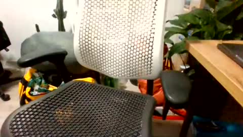 bigpolishdick12345 online show from 06.24.26