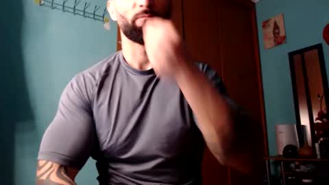 BigStallion online show from 02.02.25