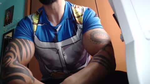 BigStallion online show from 10.05.25