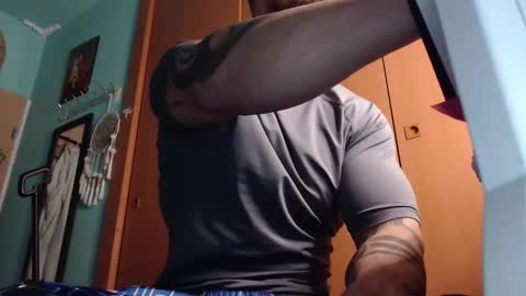 BigStallion online show from 02.03.26