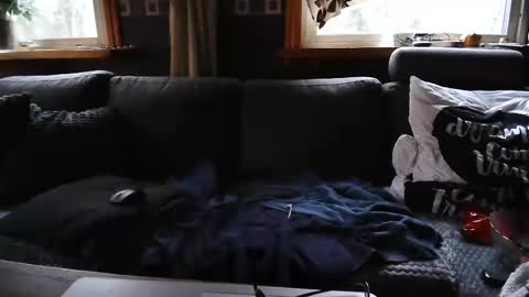 bigswe1 online show from 12.18.24