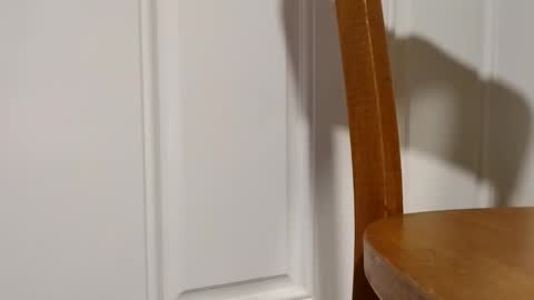 bigtopcircus online show from 02.28.26