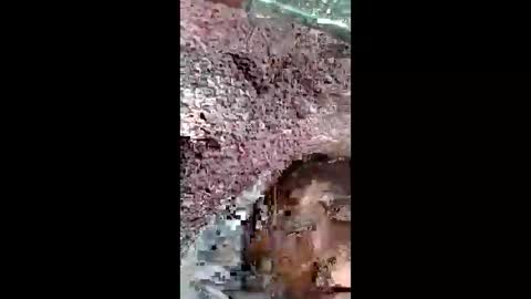 Snapshot of bigwalkdog420 chatting on 12.25.24 bigwalkdog420 online show from 12.25.24