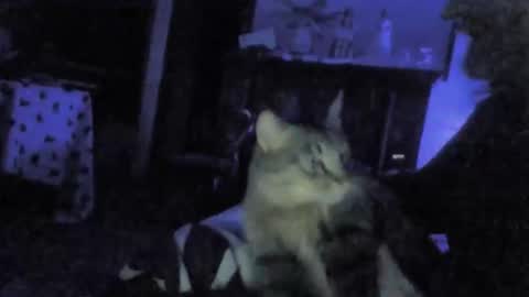 Snapshot of billenews chatting on 02.26.26 billenews online show from 02.26.26