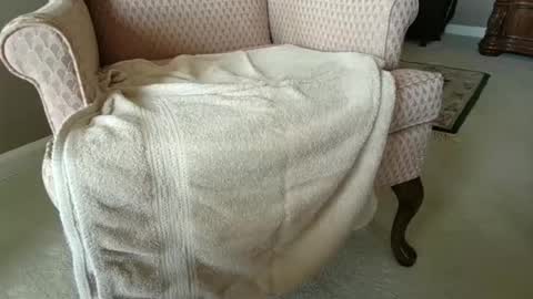 billernest99 online show from 10.01.25