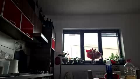 bisexdadd online show from 10.12.25