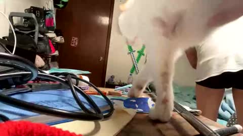 Manu O online show from 11.09.25