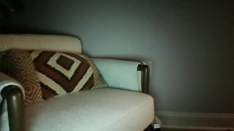 bisfurbear online show from 02.27.26