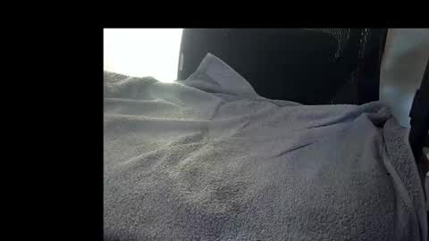 bislider online show from 11.12.25