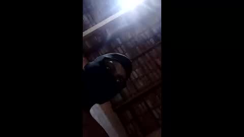 bittencourtgabriel online show from 04.22.26