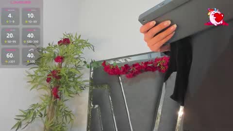 B L A C K  R O S E  online show from 02.20.25