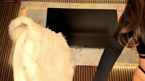 Karina online show from 11.11.25