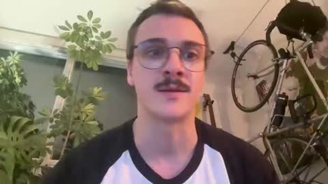 blamingos online show from 02.27.26