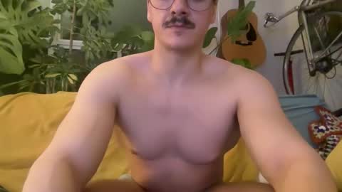 blamingos online show from 02.28.26