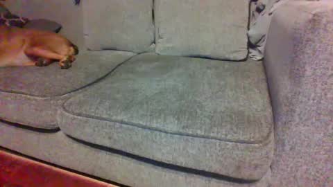 blaw_1321 online show from 09.29.25