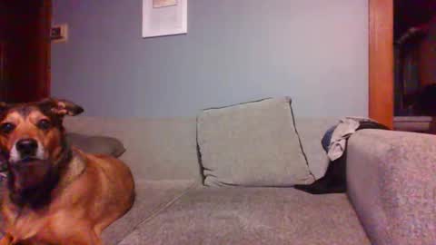 blaw_1321 online show from 10.16.25