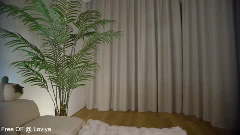 Bliss online show from 02.12.25