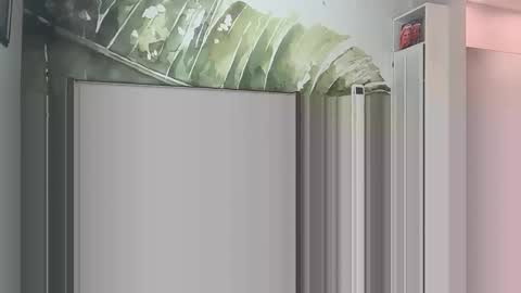 blondebunny999 online show from 03.18.26