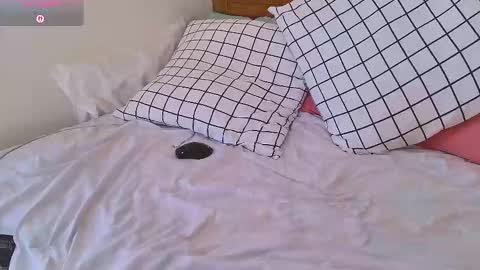 Sasha online show from 02.02.26