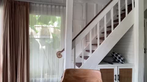 Emma Bloom online show from 01.14.26