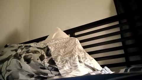 Snapshot of blueskyi0 chatting on 12.29.24 blueskyi0 online show from 12.29.24